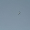 1st Operation Toy Drop 038